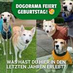 🐶 Dein verrücktestes Erlebnis in 7 Jahren Dogorama? Erzähl's uns!-Beitrag-Bild