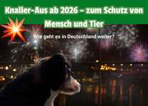 🎆🚫 Silvesterverbot in den Niederlanden! Was denkst du darüber?-Beitrag-Bild