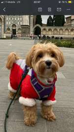 Suchmeldung-Marci-Bild