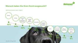 🐕 Diskussion: Hundeerziehung im Wandel – Eure Erfahrungen? 🐾-Beitrag-Bild