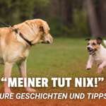 😬 „Der tut nix!": Eure schlimmsten Begegnungen & was ihr tun dürft-Beitrag-Bild