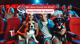 Hunde im Kino – Eure Meinung?-Beitrag-Bild