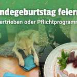 🎉 Hundegeburtstag – völlig übertrieben oder absolutes Pflichtprogramm? 🐶🎂-Beitrag-Bild