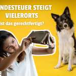 🐶💸 Hundesteuer steigt vielerorts – ist das gerechtfertigt?!-Beitrag-Bild