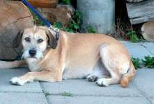 Suchmeldung-Sally-Bild