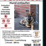 Suchmeldung-Kalle-Bild