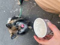 Suchmeldung-Bounty-Bild