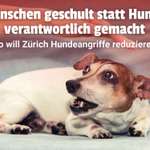 Muss man Menschen erst beibringen, wie man mit Hunden umgeht? Zürich geht mit bestem Beispiel voran-Beitrag-Bild