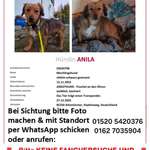 Suchmeldung-Anila-Bild