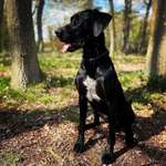 Suchmeldung-Slow Moe-Bild