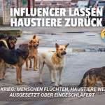 Influencer lassen Haustiere im Krieg zurück - Geht‘s noch?! 🤬🤯-Beitrag-Bild
