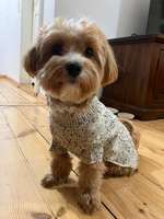 Suchmeldung-Marci-Bild