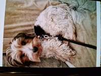 Suchmeldung-Max-Bild