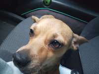 Suchmeldung-Emmy-Bild