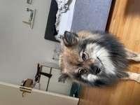 Suchmeldung-Bounty-Bild