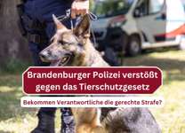 Tierquälerei bei der Brandenburger Polizei - warum die Staatsanwaltschaft nun ermittelt-Beitrag-Bild