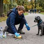 ​🛑 Schluss mit Markieren! Bußgelder für Pipi an Laternen und Grünflächen beschlossen-Beitrag-Bild