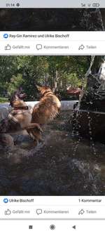 Suchmeldung-Callisto (Cali)-Bild