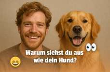 👀 Doppelgänger-Alarm: Siehst du deinem Hund ähnlich? Oder teilt ihr denselben Charakter? 🐾-Beitrag-Bild