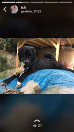 Suchmeldung-Penny -Bild