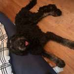 Suchmeldung-Sunny-Bild