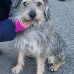 Suchmeldung-Juki-Bild