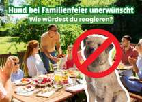 „Dein Hund ist bei der Familienfeier nicht eingeladen.“ – Wie hättet ihr reagiert? 🐶-Beitrag-Bild