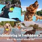 Hundebadetage 2026: Würdest du mit deinem Hund ins Freibad gehen? 💧🐶-Beitrag-Bild
