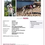 Suchmeldung-Nuka-Bild