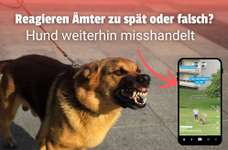 Reagieren die Ämter zu spät oder nicht richtig? Hund bleibt in Misshandlung!-Beitrag-Bild