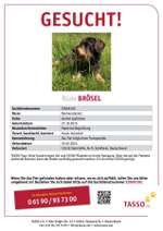 Suchmeldung-Brösel-Bild
