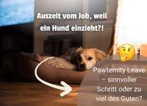 „Elternzeit“ für Hundeeltern – was meint ihr: Zu viel des Guten oder absolut fair?-Beitrag-Bild