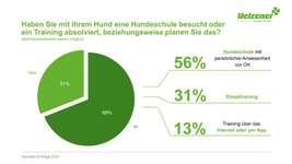 🐕 Diskussion: Hundeerziehung im Wandel – Eure Erfahrungen? 🐾-Beitrag-Bild