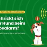 Bundesweiter Warntag: Wie reagieren eure Hunde?-Beitrag-Bild
