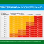 🚗 Hund im heißen Auto – was würdest du tun?-Beitrag-Bild
