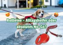 Diese Leine sorgt für Zoff – man liebt oder hasst sie, die Rollleine 🧨🐶-Beitrag-Bild