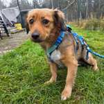 Suchmeldung-Anila-Bild