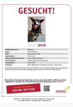 Suchmeldung-Julia -Bild