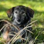 Suchmeldung-Nouha-Bild