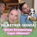😡 Dalmatiner-Skandal um Kim Virginia – Welche Verantwortung tragen Influencer wirklich? 🤔-Beitrag-Bild