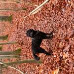 Suchmeldung-Sunny-Bild