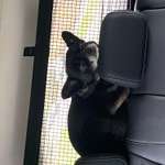 Suchmeldung-Uwe-Bild