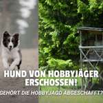 Tödlicher Schuss beim Gassi 😢 - Ist die Hobbyjagd noch tragbar?-Beitrag-Bild
