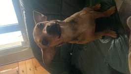 Suchmeldung-Emmy-Bild