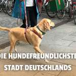 Ist deine Stadt hundefreundlich? – die hundefreundlichste Stadt Deutschlands nach neuem Index-Beitrag-Bild