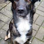 Suchmeldung-Raya-Bild