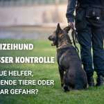 🚨 Polizeihund verletzt Kind - PETA fordert Abschaffung von Hunden im Dienst: Wie siehst du das?-Beitrag-Bild