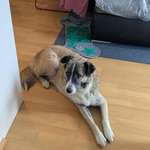 Suchmeldung-Sky-Bild