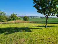 Hundeauslaufgebiet-Hundewiese-Bild