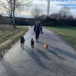 Ersteller:in Miriam Profilbild